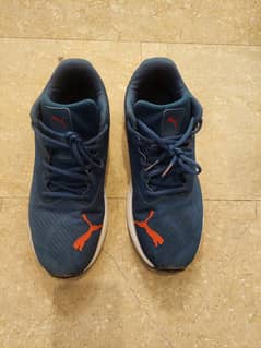 Puma Shoes (Size 8/42)