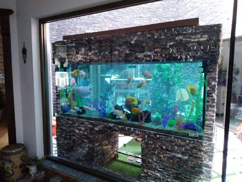 Fish Tank/Aquarium maintenance Service for contact Lahore 3