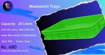 Meal Worms Tray