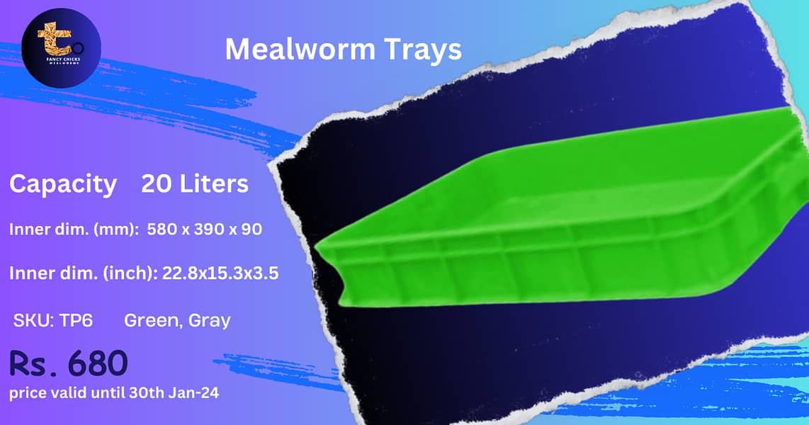 Meal Worms Tray 0