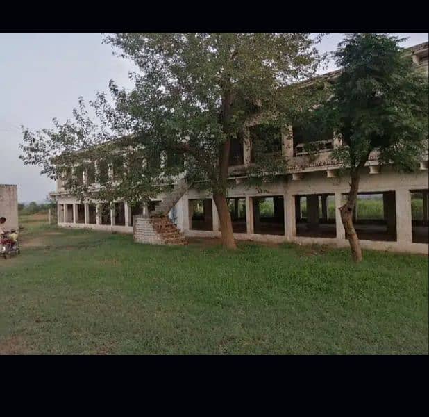 poultry farm in chakwal for rent 2