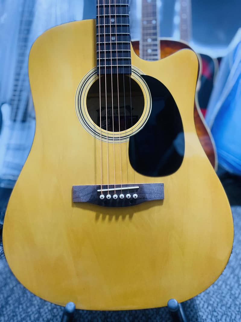 Yamaha Fender Tagima Deviser brand guitars & violins ukuleles 16