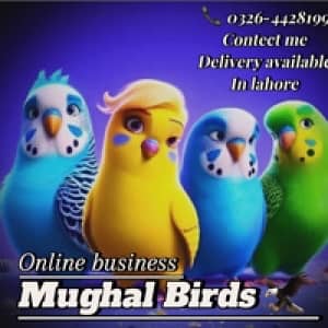 MughalBirds