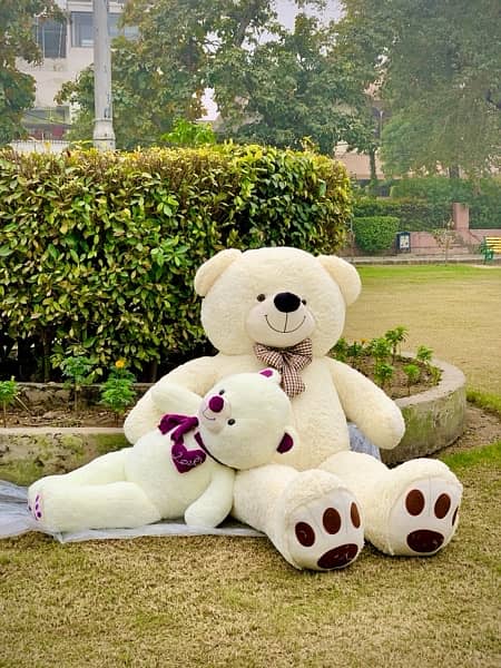 Teddy Bear/ Stuffed Toys 5