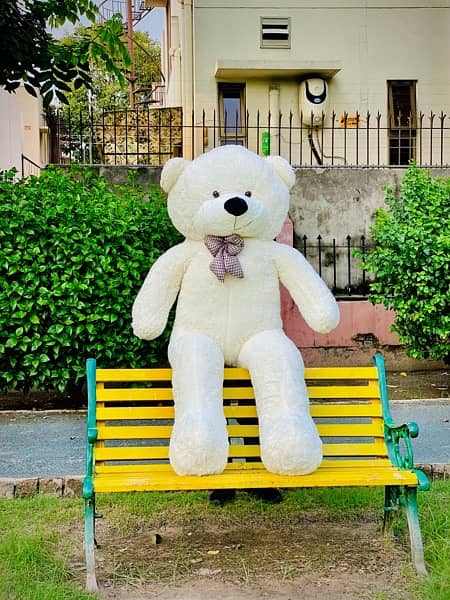 Teddy Bear/ Stuffed Toys 0