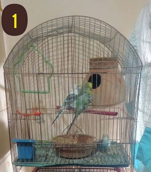 only 5 cages no Birds Add pura parhe 0