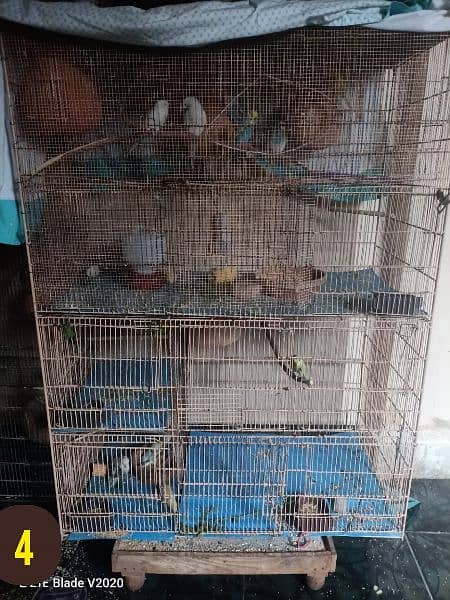 only 5 cages no Birds Add pura parhe 2