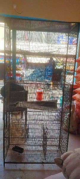 only 5 cages no Birds Add pura parhe 4