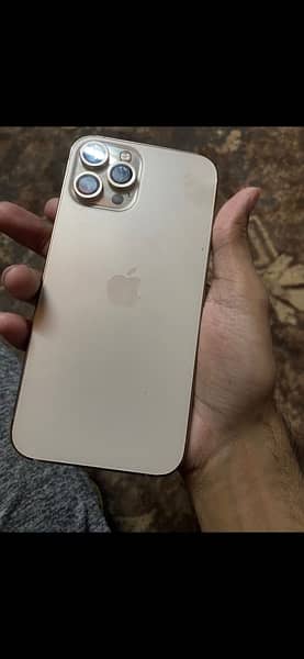 i phone 12 pro max gold colour dual pta approved 0