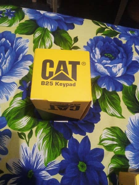 CAT (B25 Keypad) 1