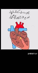M.Bilal