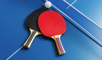 TABLE TENNIS TABLE 8WHEELS BUTTERFLY STYLE COMPLET EQUIPMENT 13