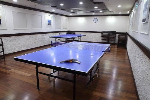 TABLE TENNIS TABLE 8WHEELS BUTTERFLY STYLE COMPLET EQUIPMENT 17