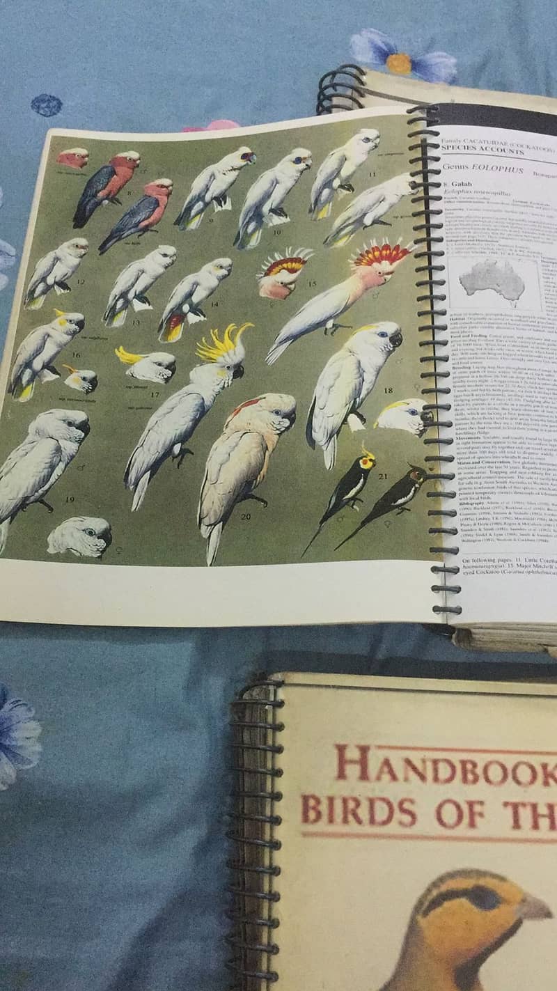 Handbook of the Birds of the World 1