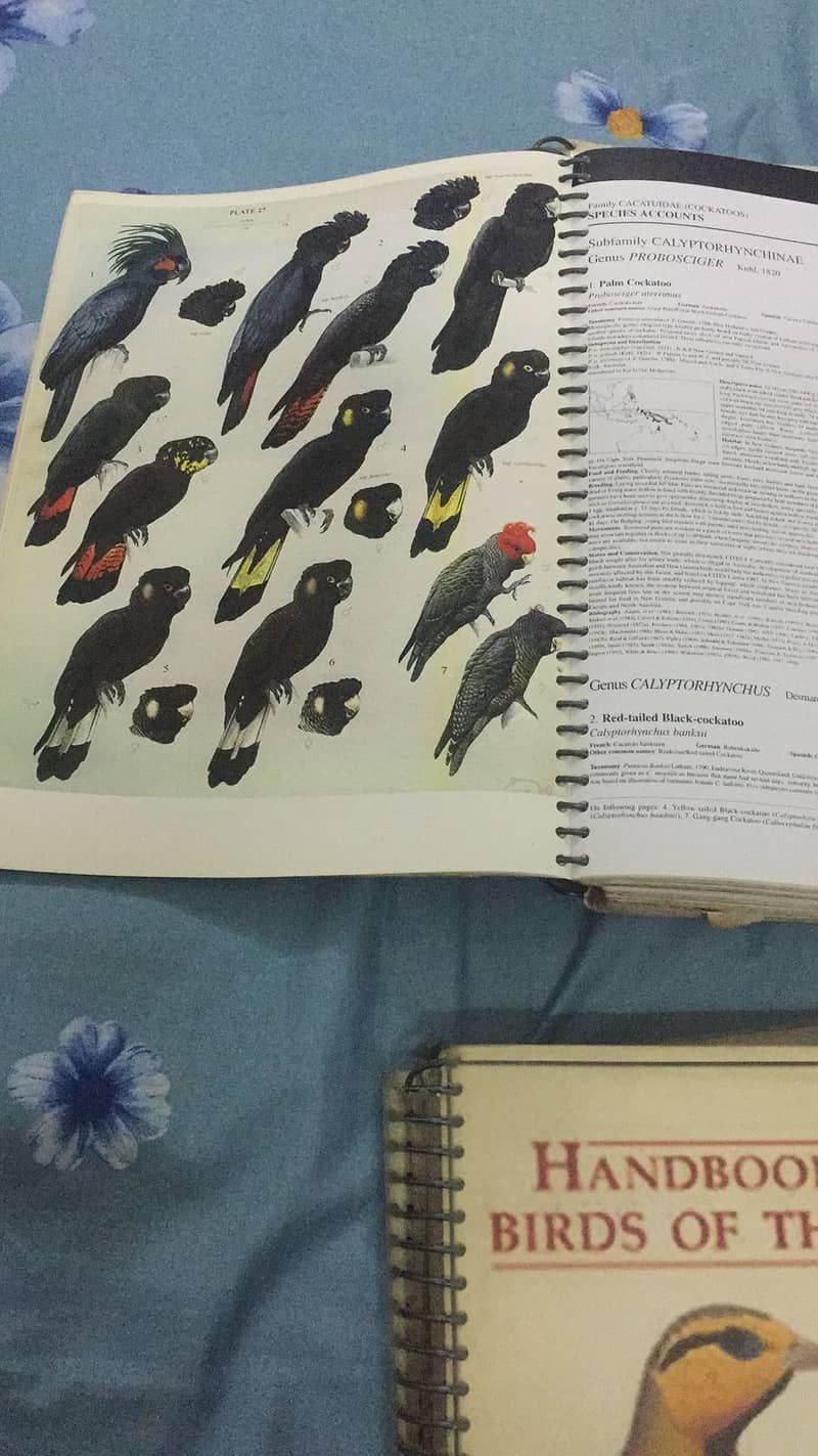 Handbook of the Birds of the World 2