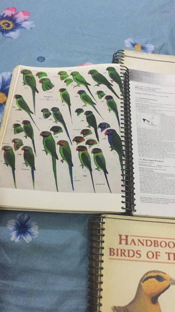 Handbook of the Birds of the World 3