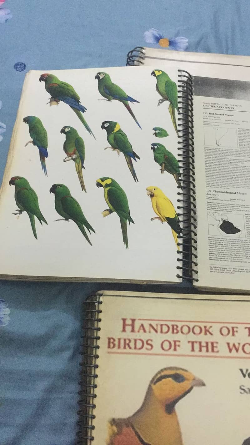 Handbook of the Birds of the World 4