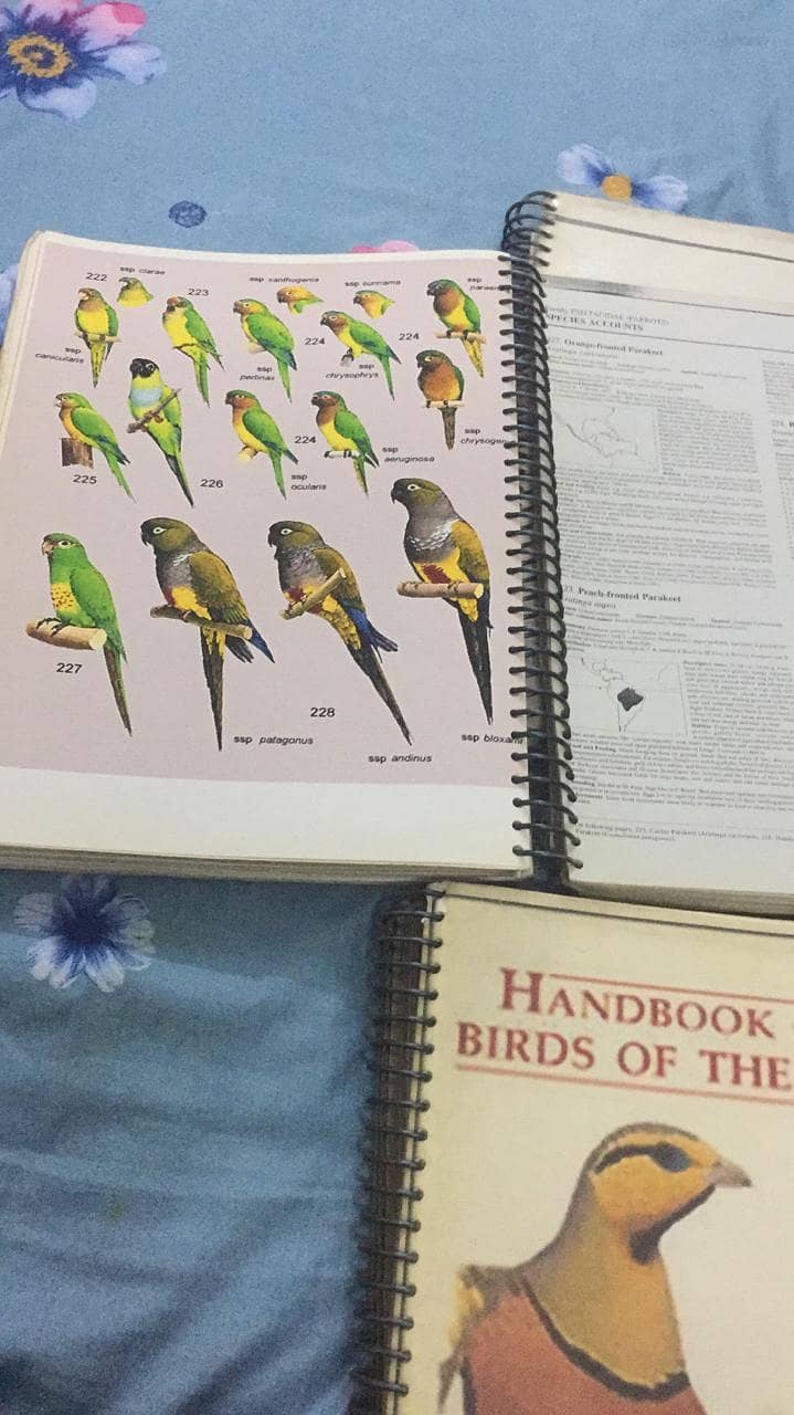 Handbook of the Birds of the World 5