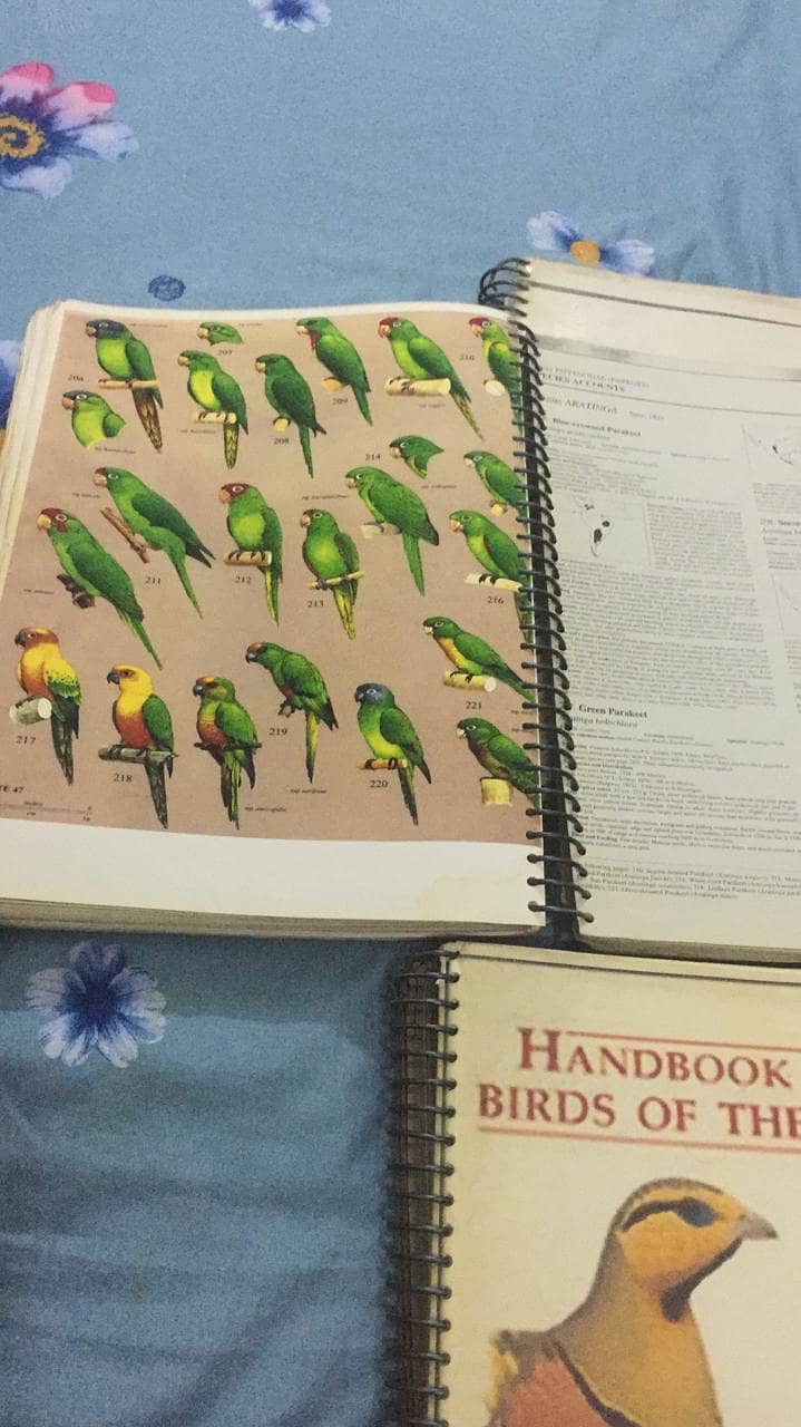 Handbook of the Birds of the World 6