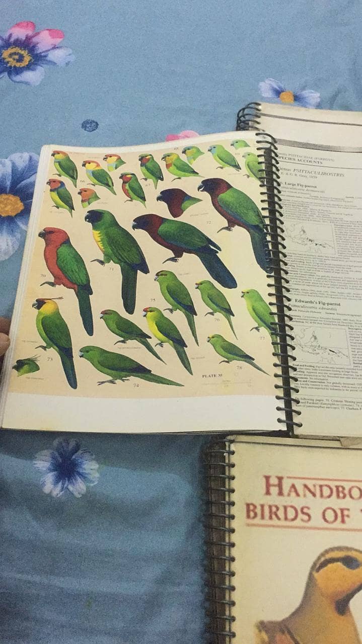 Handbook of the Birds of the World 7