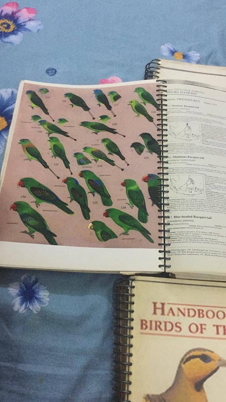 Handbook of the Birds of the World 8