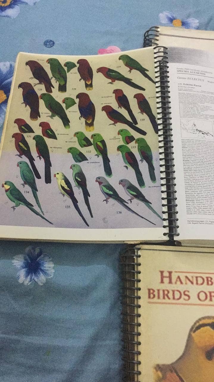Handbook of the Birds of the World 9