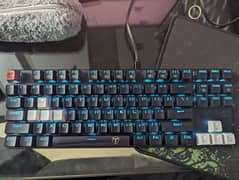 T Dagger Bora Mechanical gaming Keyboard TKL