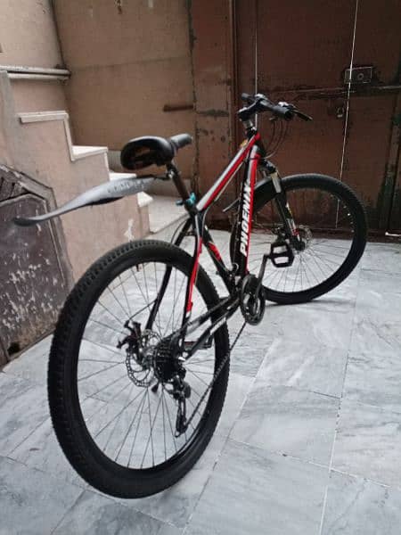 Phoenix mountain bike online 26