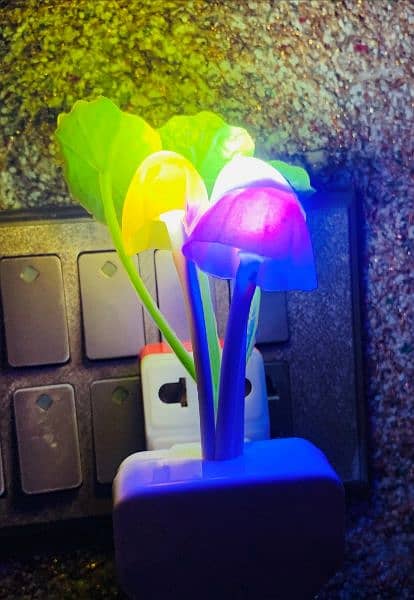 LED Mushroom Night Light• 1