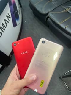 vivo