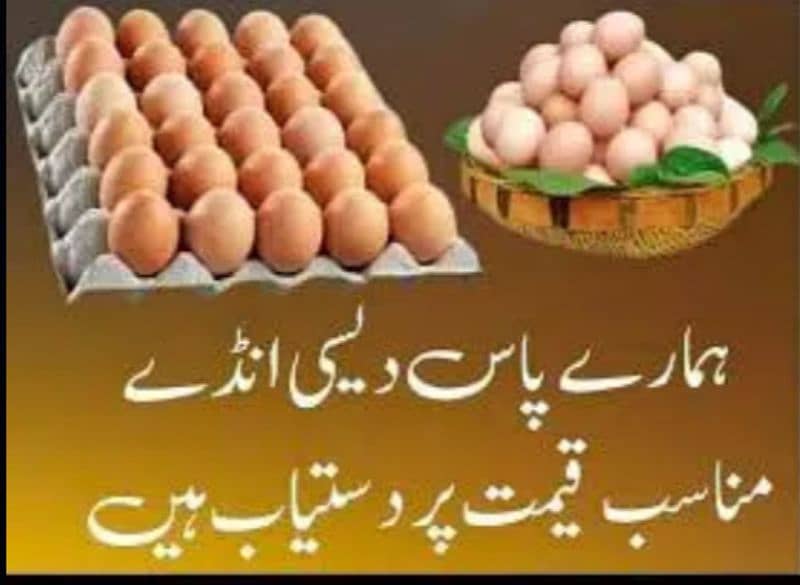 Pure Desi Fertile Eggs 7