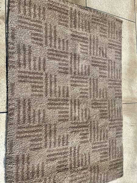 A beautiful Brown and Beige Carpet 2