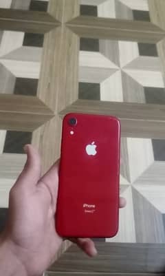 iphone xr jv non pta battery health 81 10/8 condition all ok