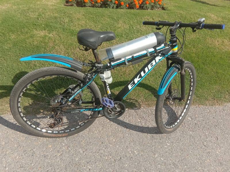 Electric Bicycle EV kit Battery Motor Throttle 1