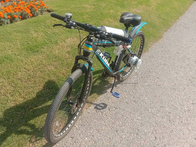 Electric Bicycle EV kit Battery Motor Throttle 7