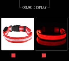 LED Glowing Dog Collar 0