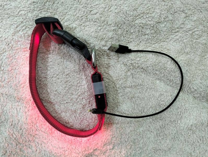 LED Glowing Dog Collar 4