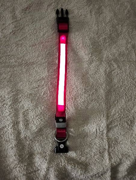 LED Glowing Dog Collar 5