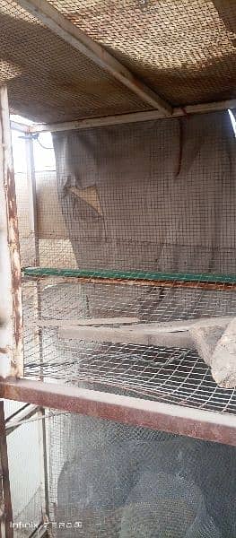 7*6 cage for sale 6 portions 5