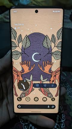 google pixel 6 pro olx quetta