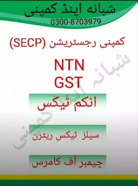 COMPANY REGISTRATION/NTN/GST/FILER/NGO/SECP/TAX RETURN/FIRM /FBR 1