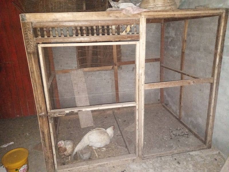 3 pingra wood cage 6 portion  cage 302. . . 7555. . . . 122 what AAP 0