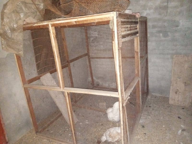 3 pingra wood cage 6 portion 302. . . 7555. . . . 122 what AAP 2