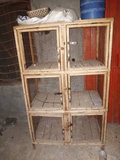 3 pingra wood cage 6 portion 3027555122 what AAP
