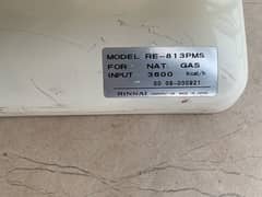 Rinnai Gas heater