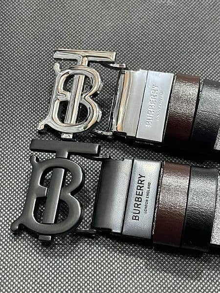 Branded Imported Belts 7