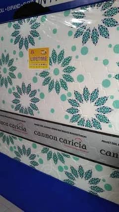 Cannon caricia spring Mattres