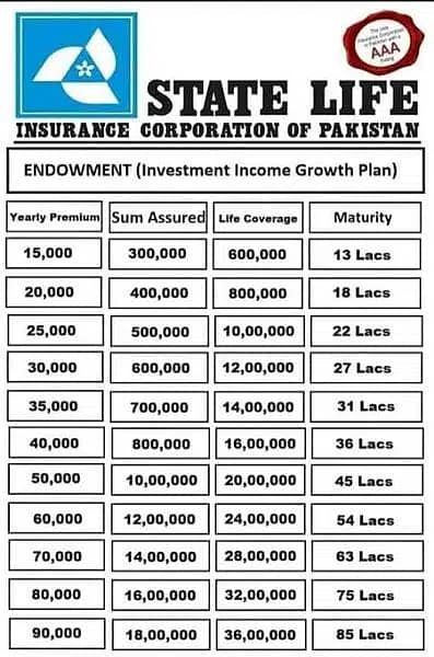 State Life Insurance Available for Your Best Future 3