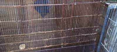 for sale cage 2 cage . . . ek 3 portion wali or ek 2 portion wali