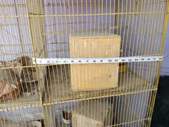 cage & birds